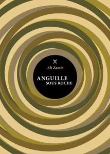 Littérature africaine -Anguille sous roche d’Ali Zamir