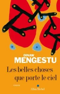 Littérature africaine - Les belles choses que porte le ciel de Dinaw Mengestu
